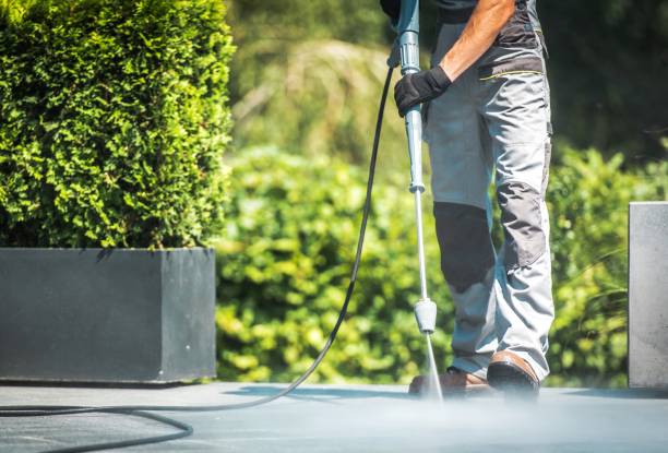 Boat and Dock Cleaning in Bawcomville, LA